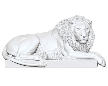 Hàng Đặt Theo Y/C