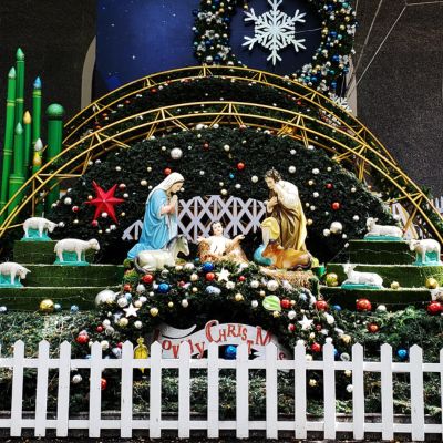 Đón Giáng Sinh: Vì sao người Công giáo hay trang trí cây thông, hang đá, tượng Chúa Giáng Sinh?